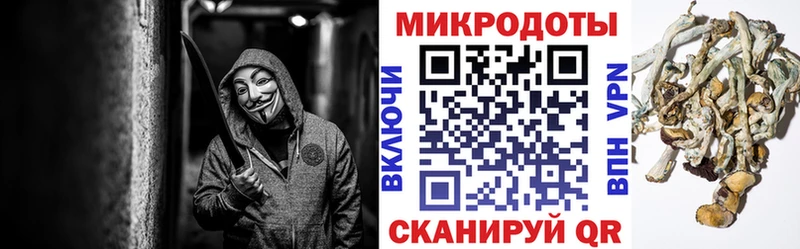 мега зеркало  Луга  Галлюциногенные грибы ЛСД 