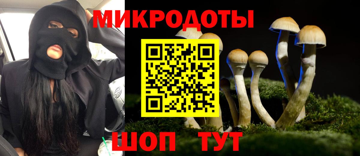 Псилоцибиновые грибы мухоморы  Вход с VPN  Галлюциногенные грибы Psilocybe  Луга 