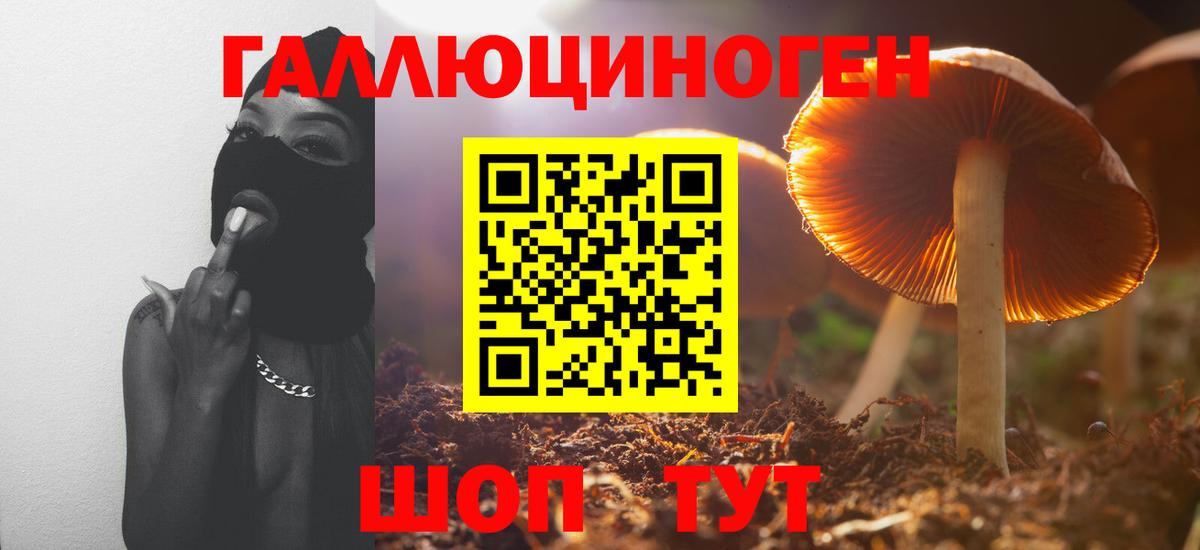 Гашиш Луга