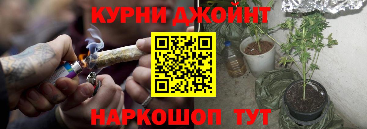 Луга  Бошки марихуана план  Каннабис ГИДРОПОН  Вход с VPN  Бошки марихуана White Widow 